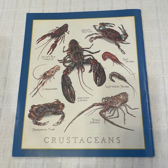 Cooks illustrated vintage 2003 & 2004 magazines bundle cooking baking recipe - Picture 14 of 16